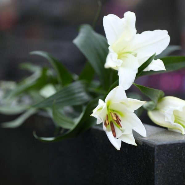fiori